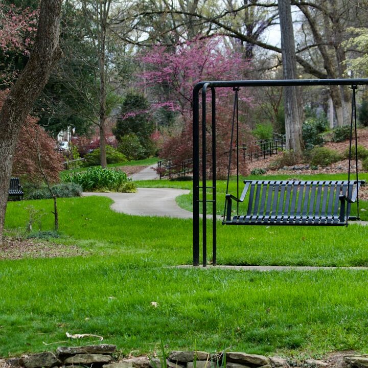 Photo Garden swing
