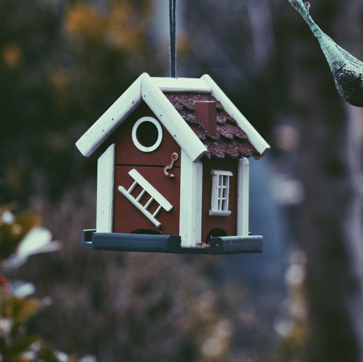 Photo Birdhouse types