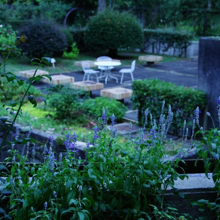 Photo alternative garden