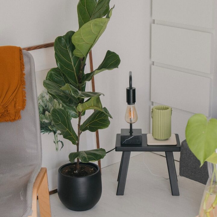 Photo apartment living room