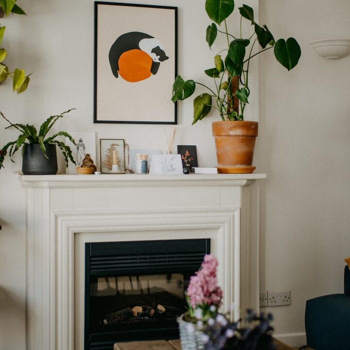 Photo houseplants living room